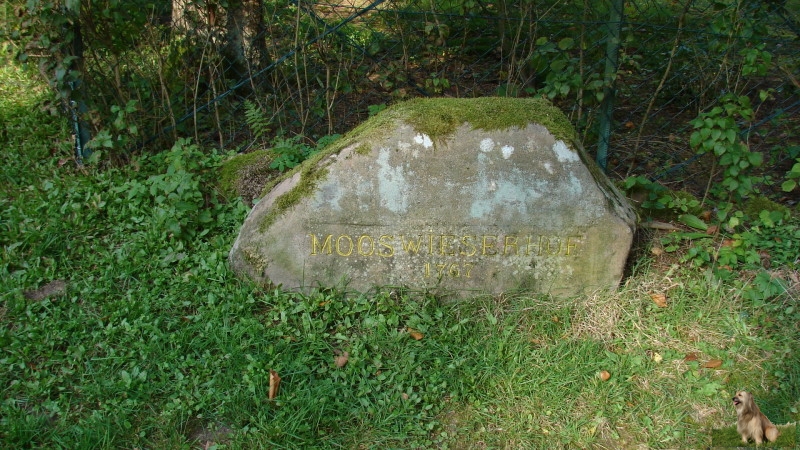 Ritterstein Nr. 133-0 Mooswieserhof 1767.JPG - Ritterstein Nr.133  Mooswieserhof 1767                               